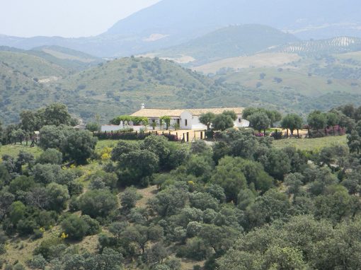 Casa de Turismo Rural «El Puerto del Timón» en Villamartín: Renovación Respetando la Historia